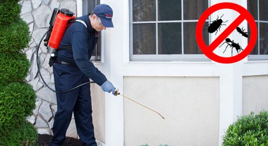Hozat Hamam Böceği İlaçlama böcek ilaçlama ve haşere kontrolü — ilaclama-tr.com